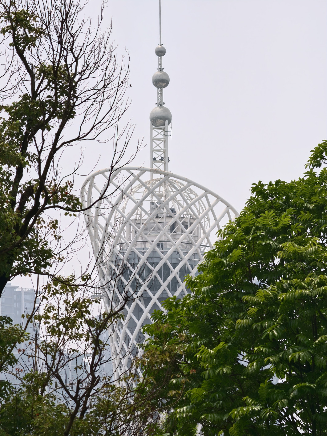 1/189 s, f/3.5, ISO 50, 34.8 mm