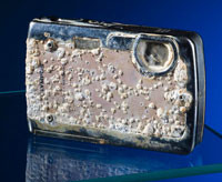 Olympus mju 720 SW - rok na dnie oceanu