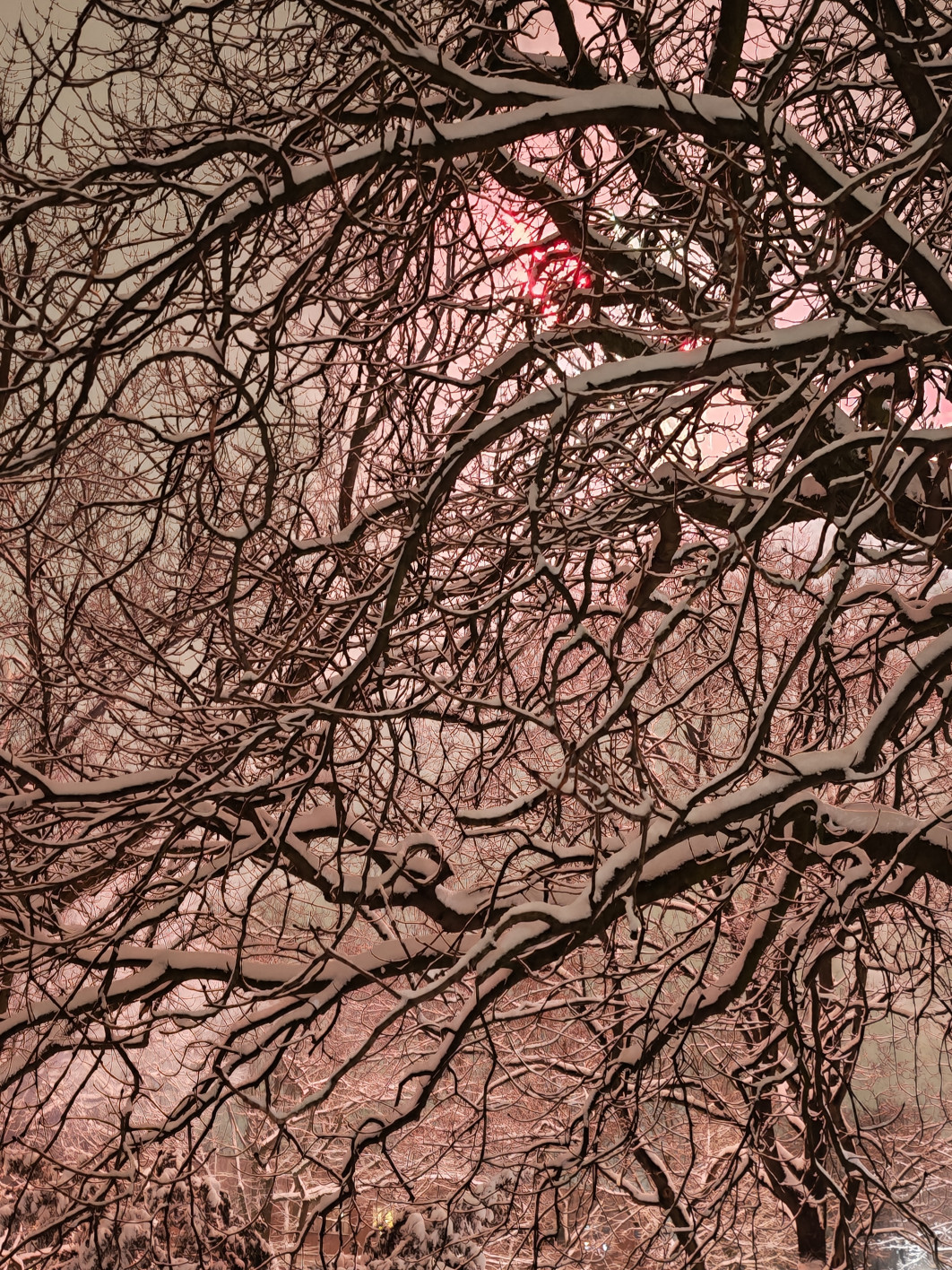 1/11 s, f/1.6, ISO 1600, Moduł standardowy