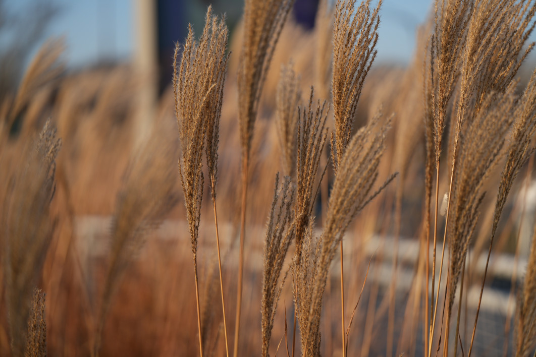 1/1000 s, f/2.8, ISO 100, 90.0 mm