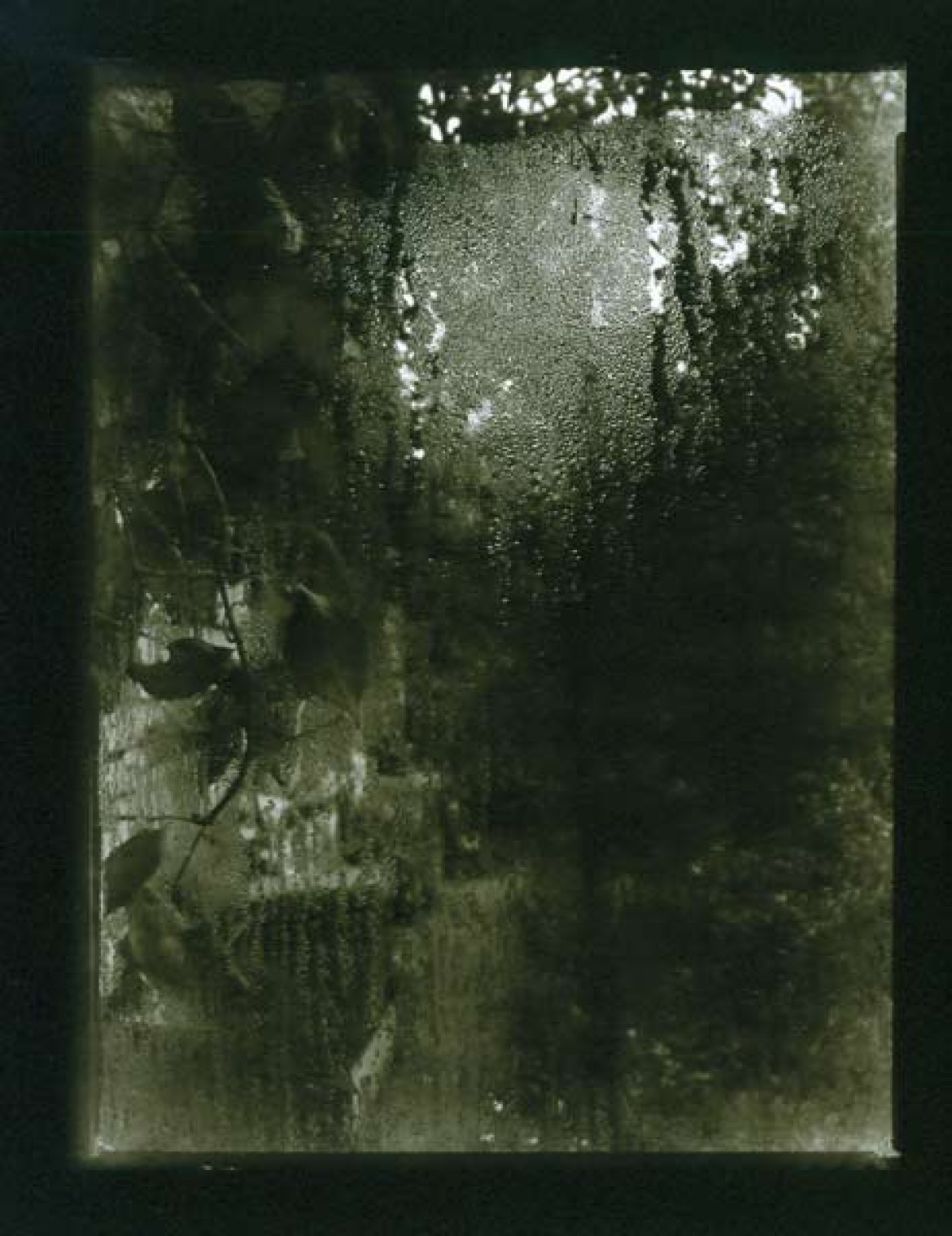 fot. Josef Sudek "Okno mojego atelier", 1940-54