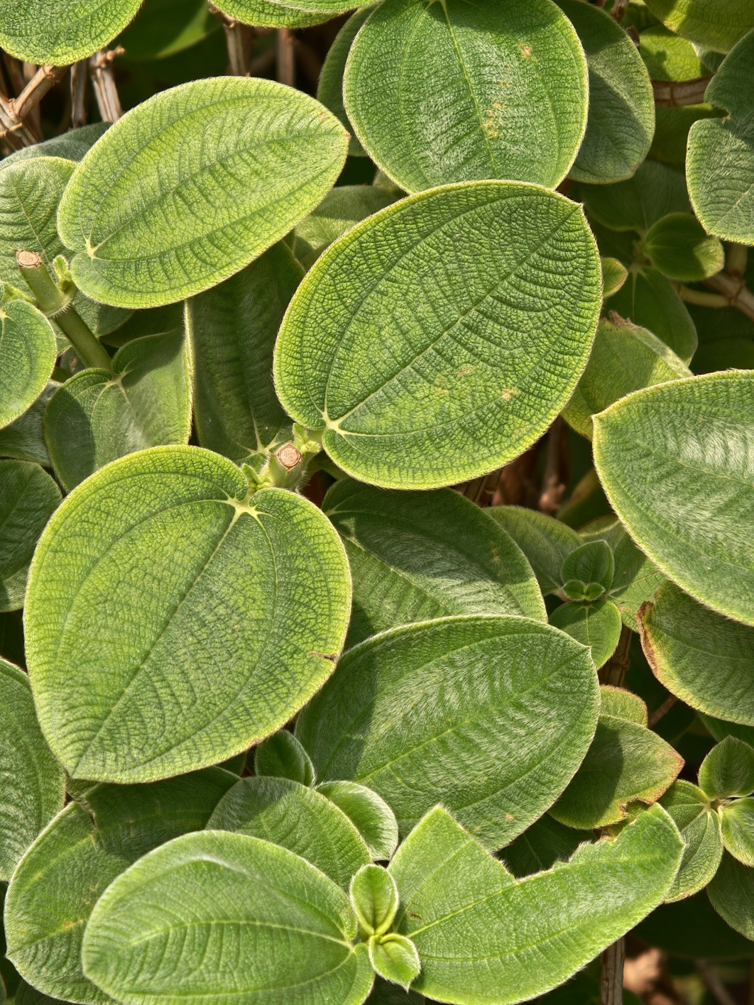 1/200 s, f/3.5, ISO 160, 34.8 mm