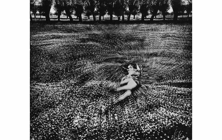 Jerzy Wardak, „Narodziny kwiatu”, 1965/1979