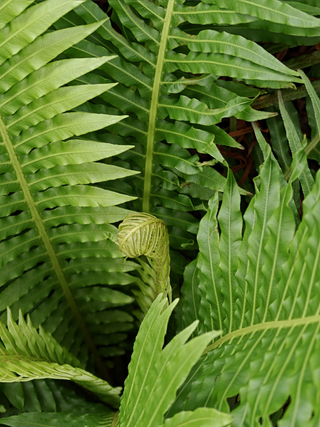 1/100 s, f/2.2, ISO 100, 20.1 mm