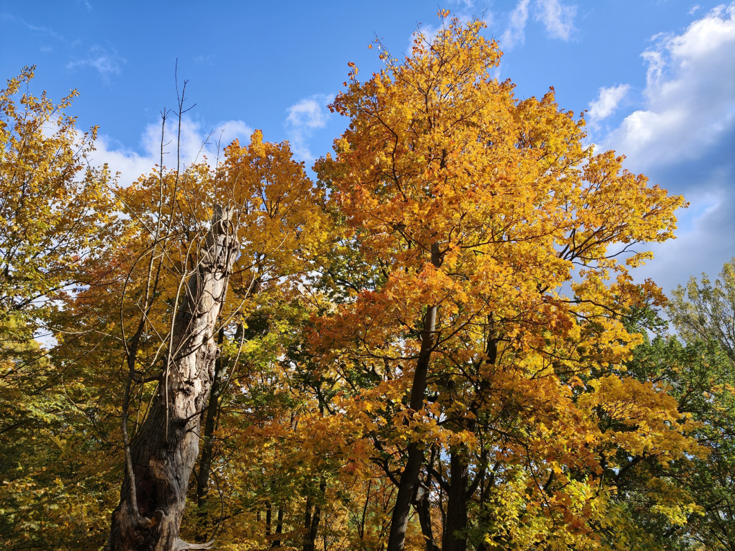 1/3479 s, f/1.5, ISO 80, 6.8 mm
