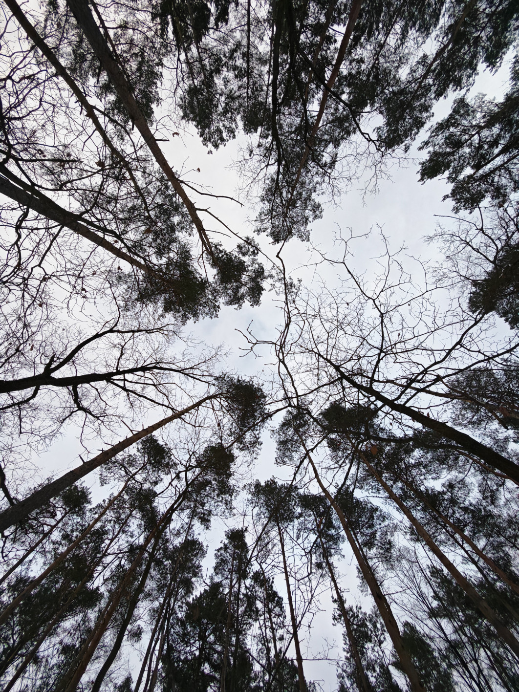 1/50 s, f/2, ISO 200, Moduł ultraszerokokątny