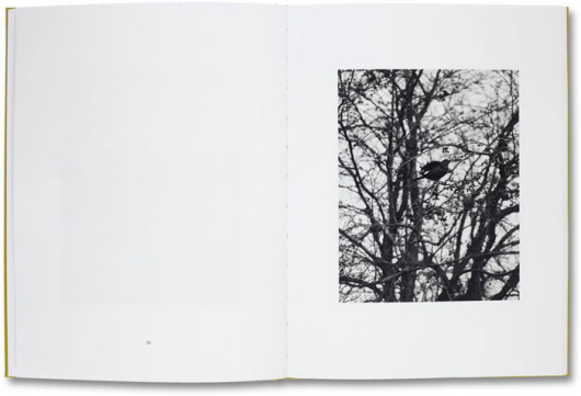 (c) Michael Schmidt, dzięki uprzejmości MACK / www.mackbooks.co.uk