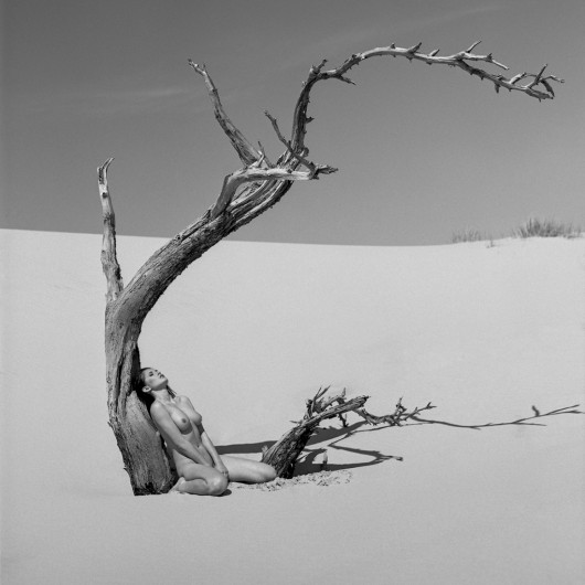 fot. Bartek NinoVeron, z cyklu Desert Flower, 1. nagroda w kategorii Nude / Monovisions Photography Awards 2019