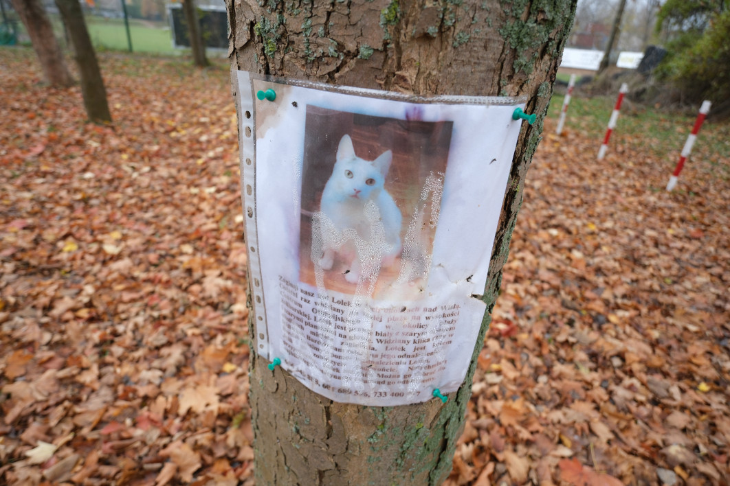 1/120 s, f/3.5, ISO 160, 13.0 mm