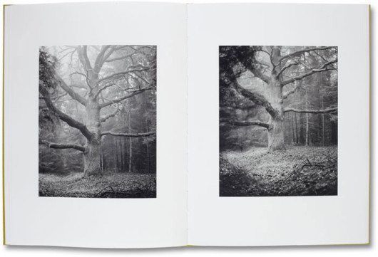 (c) Michael Schmidt, dzięki uprzejmości MACK / www.mackbooks.co.uk