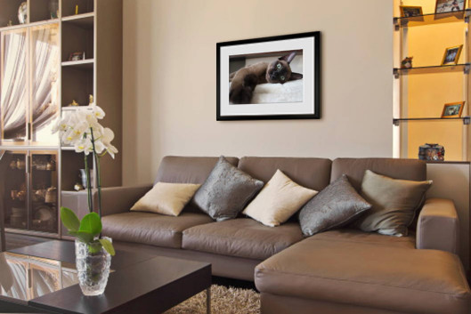 Memento Smart Frame