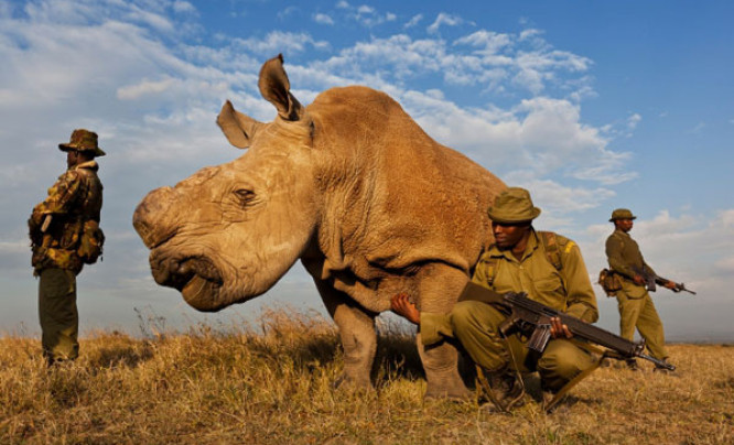 World Press Photo 2012 w Bunkrze Sztuki