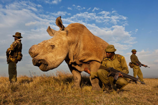 World Press Photo 2012 w Bunkrze Sztuki