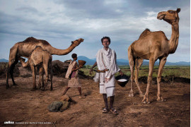 Kalendarz Lavazza 2015, fot. Steve McCurry, Roba Bulga Jilo, etiopski działacz na rzecz żywności, jest członkiem plemienia pasterzy nomadów z Karrayyu, z którymi starają się chronić mleko wielbłąda - produkt o symbolicznym znaczeniu w Etiopii.