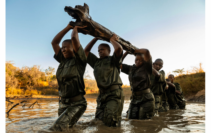 fot. Brent Stirton, RPA, nominacja w profesjonalnej kategorii Documentary / Sony World Photography Awards 2019 