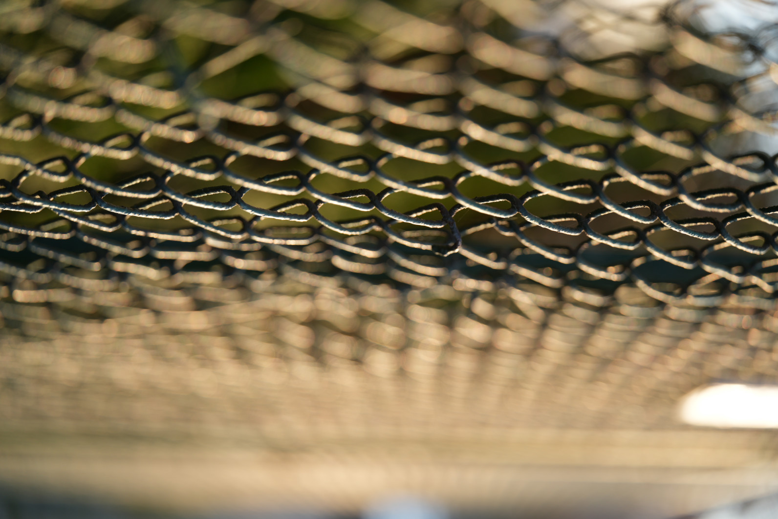 1/200 s, f/2.8, ISO 100, 90.0 mm