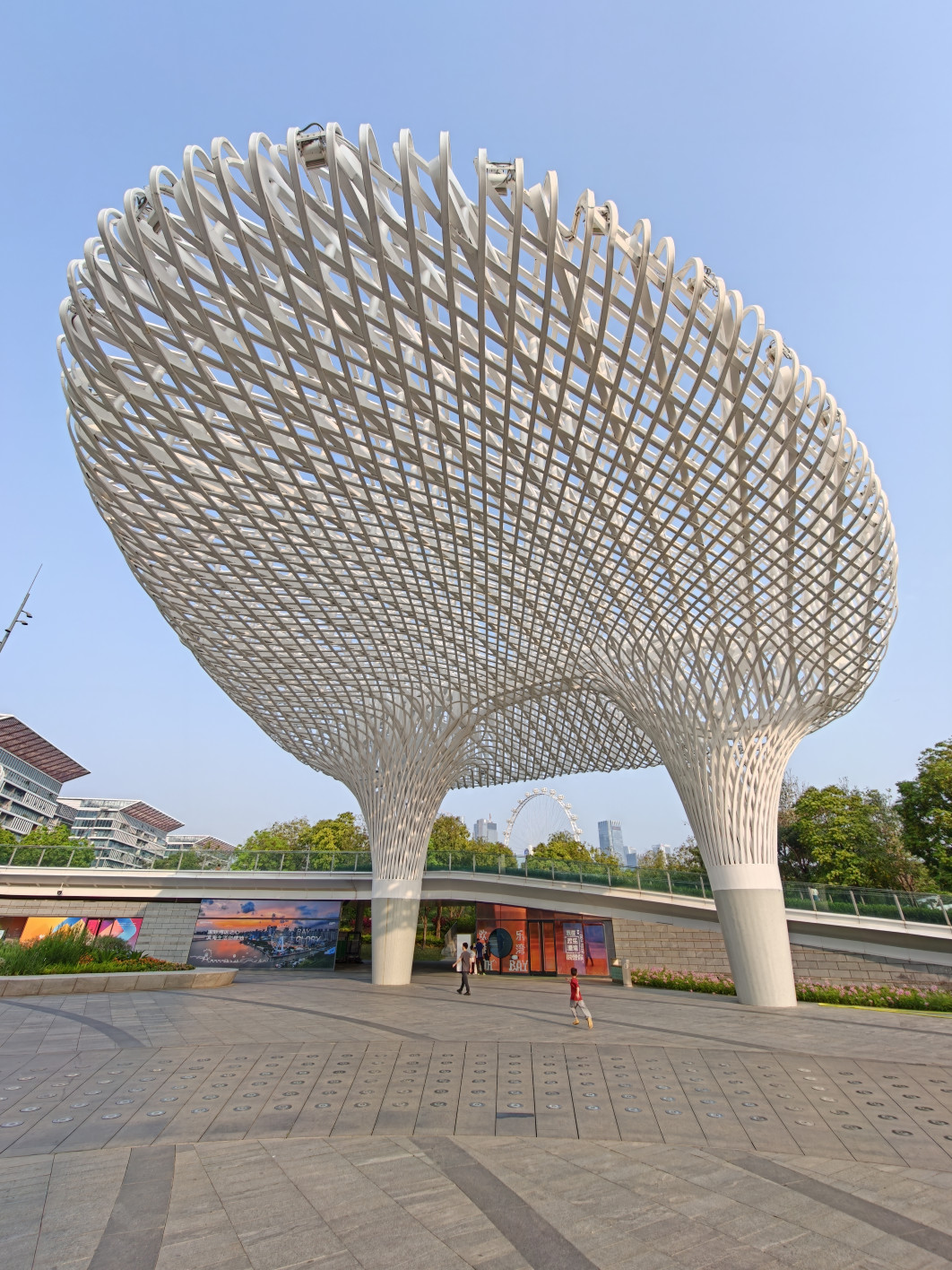 1/437 s, f/2, ISO 50, 2.6 mm