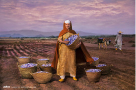 Kalendarz Lavazza 2015, fot. Steve McCurry, Mhamd Id Taleb, prezes szafranowej spółdzielni rolniczej w marokańskiej wiosce Taliouine.