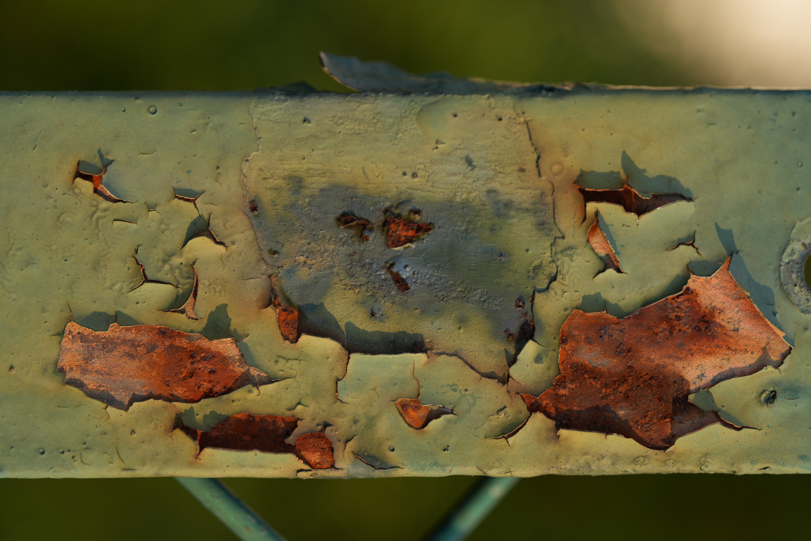 1/125 s, f/4, ISO 200, 90.0 mm