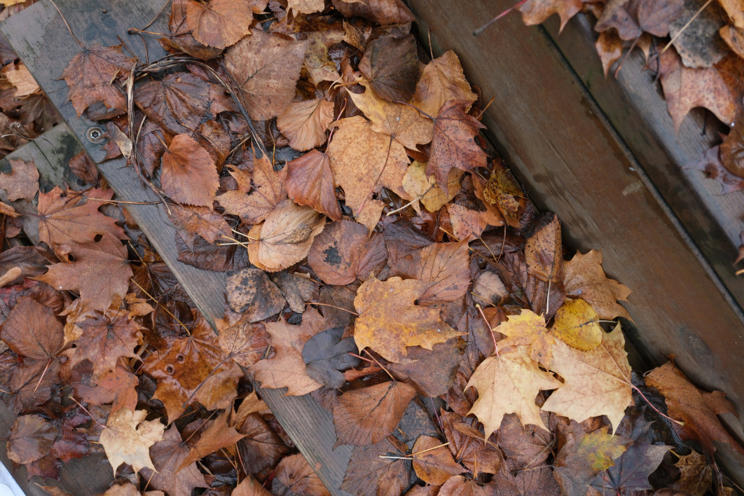 1/100 s, f/5, ISO 250, 15.7 mm