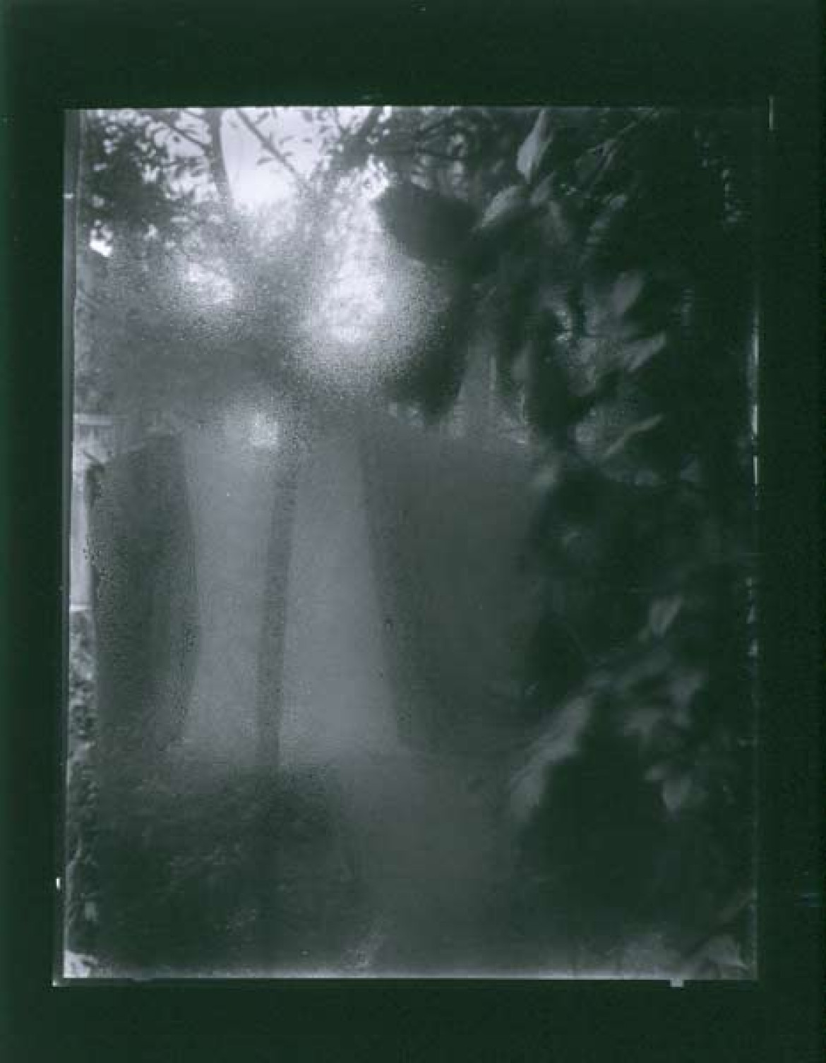 fot. Josef Sudek "Okno mojego atelier, Poniedziałek wielkanocny", 1954