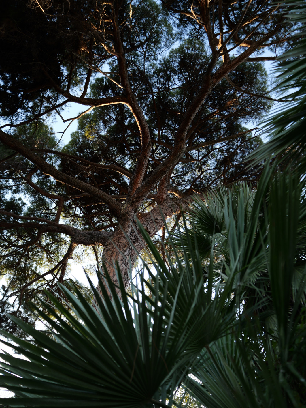 1/125 s, f/2.8, ISO 100, 12 mm