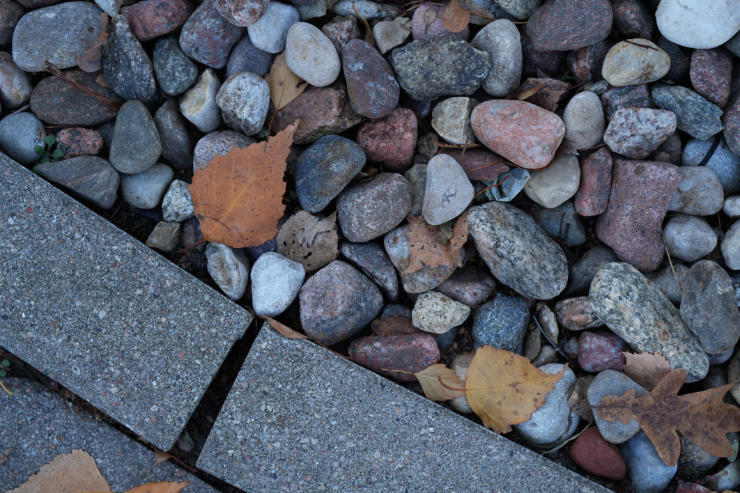 1/125 s, f/4, ISO 250, 90.0 mm