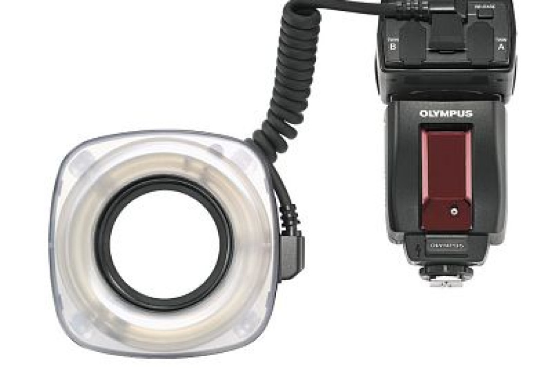 Olympus E-System i makrofotografia błyskowa