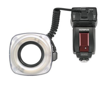 Olympus E-System i makrofotografia błyskowa