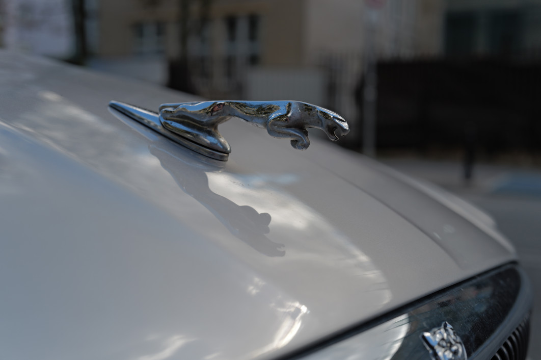 1/320 s, f/5, ISO 100, 43.0 mm (tryb makro)