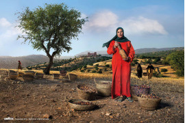Kalendarz Lavazza 2015, fot. Steve McCurry, Nadia Fatmi, szefowa spółdzielni kobiet z Tighanimine, strażniczka drzewa araganowego, które rośnie tylko na południowym wybrzeżu Maroka. Uzyskuje się z niej rzadki olej, który ma właściwości lecznicze.