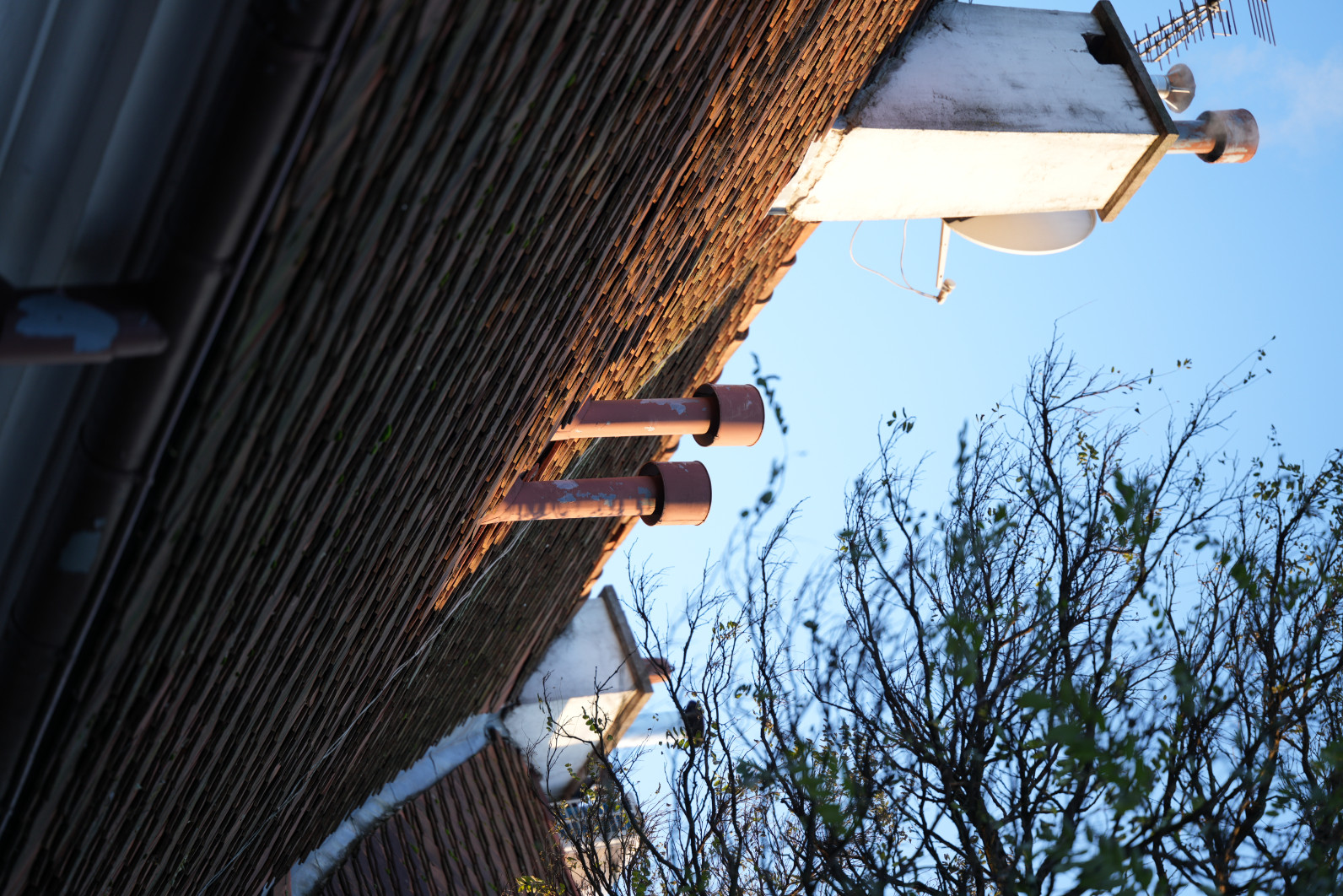 1/250 s, f/2.8, ISO 100, 90.0 mm