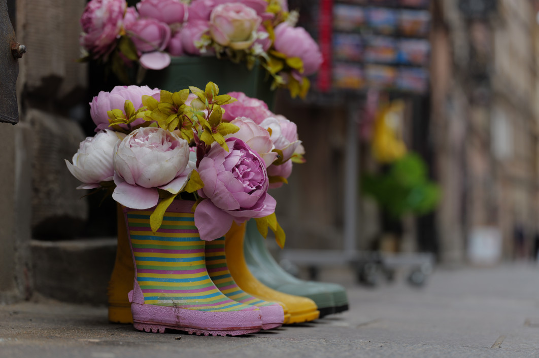 1/200 s, f/4, ISO 200, 90.0 mm