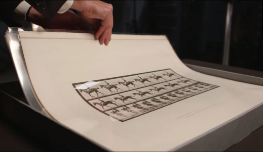 Krótka historia fotografii okiem domu aukcyjnego Christie’s