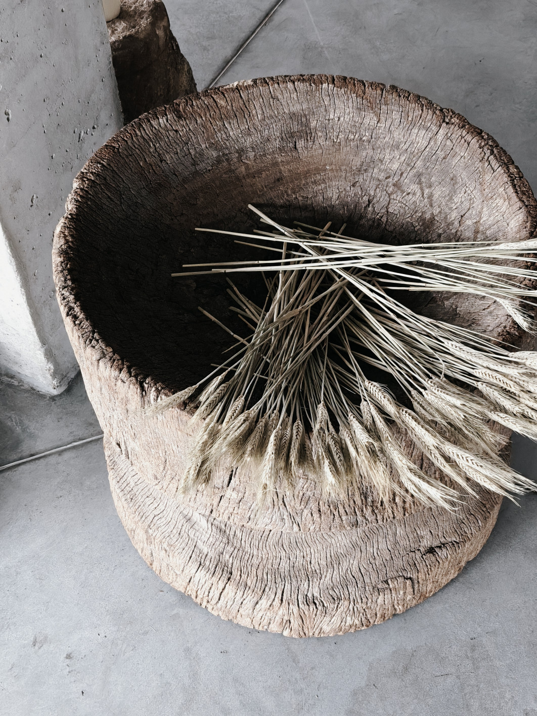 1/50 s, f/1.8, ISO 3200, Moduł główny