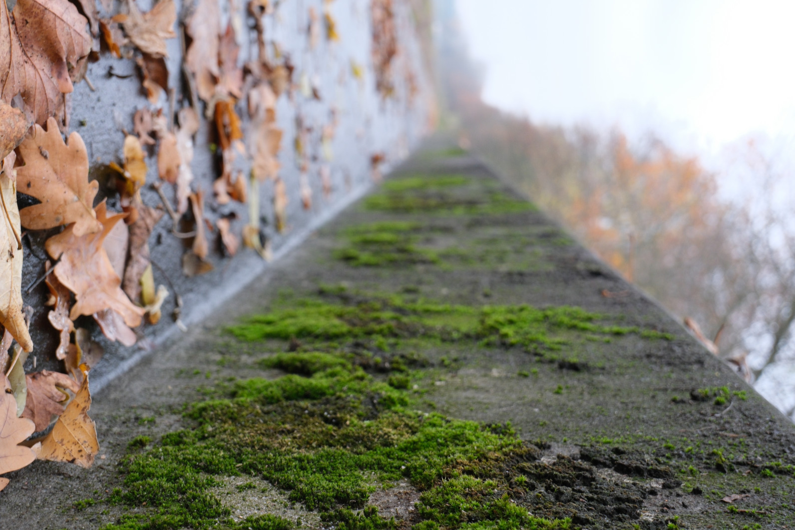 1/90 s, f/6.3, ISO 800, 33.0 mm