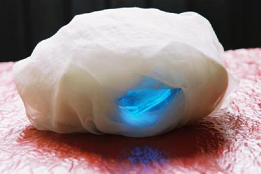 "Chrysalis" Basi Sokołowskiej