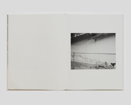 „Dogbreath”, Matthew Genitempo