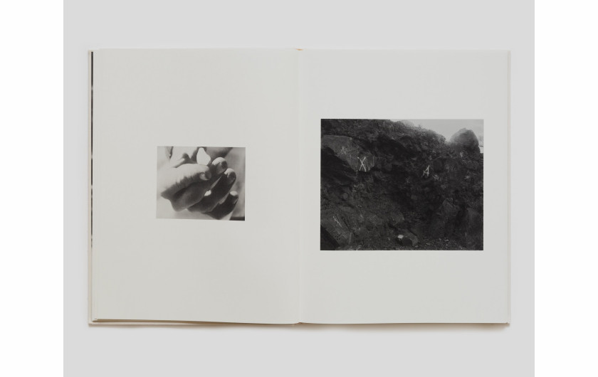 „Dogbreath”, Matthew Genitempo