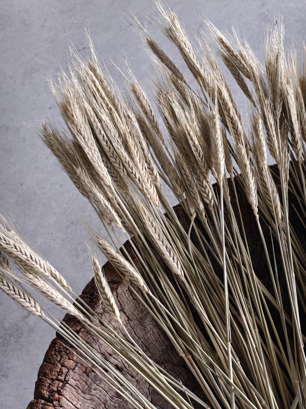 1/33 s, f/2.8, ISO 5000, Moduł tele