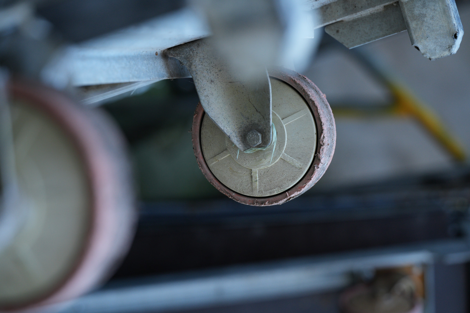 1/125 s, f/4, ISO 800, 90.0 mm