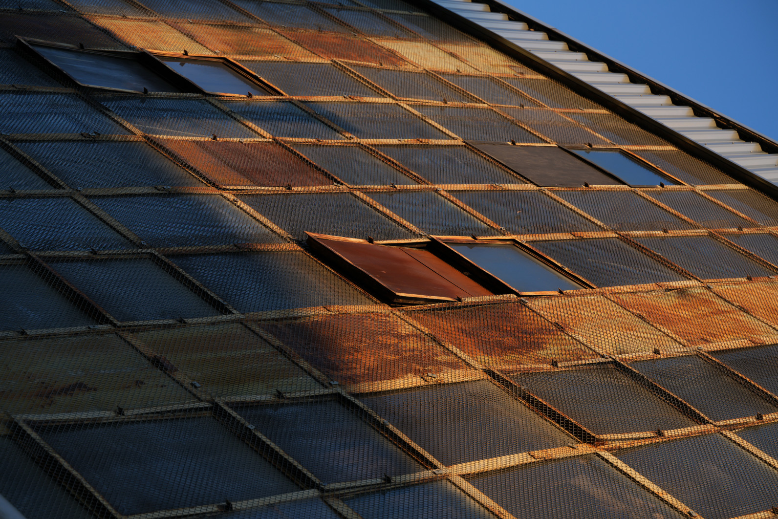 1/200 s, f/5.6, ISO 100, 90.0 mm