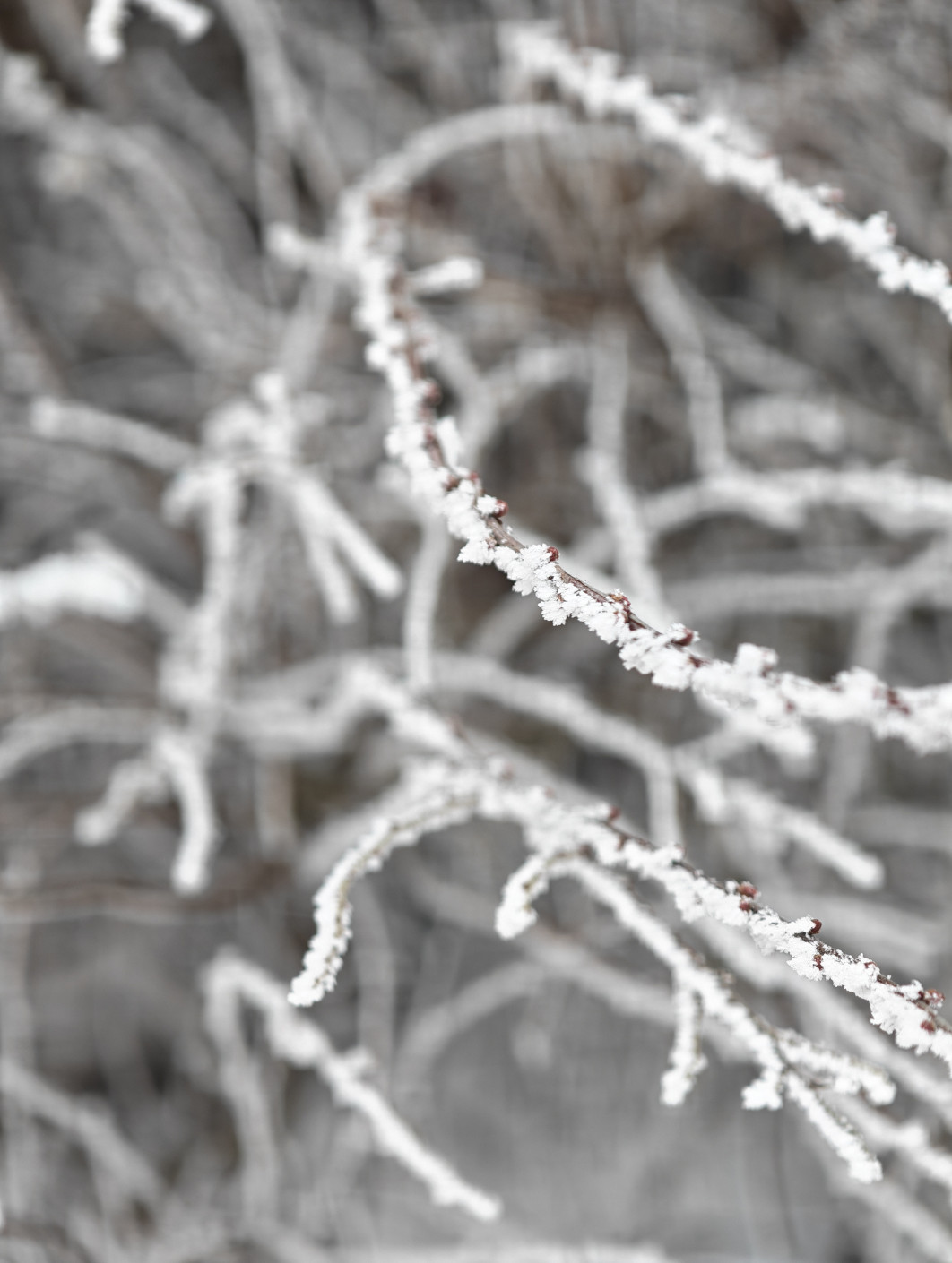 1/100 s, f/2.6, ISO 125, Moduł tele