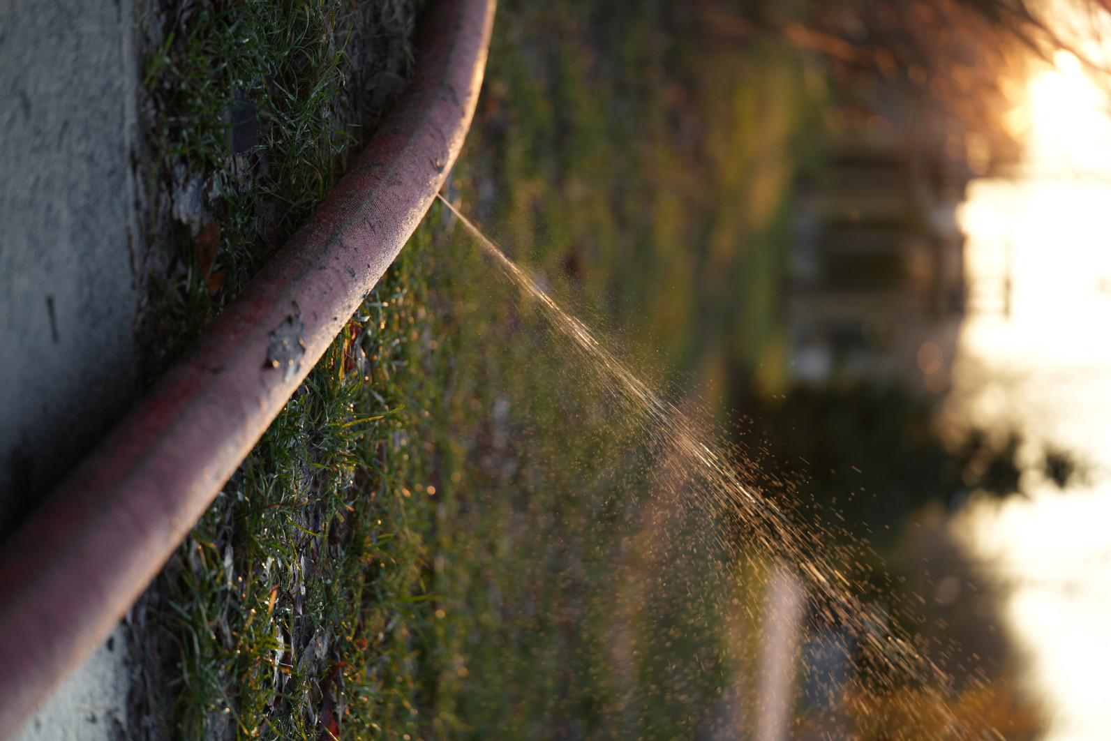 1/320 s, f/2.8, ISO 100, 90.0 mm