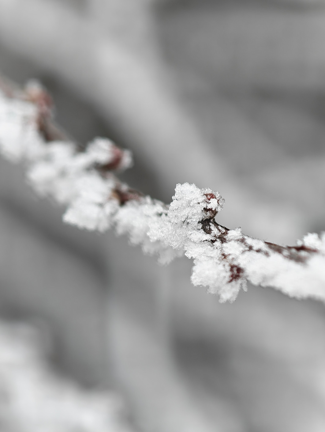 1/100 s, f/2.6, ISO 80, Moduł tele