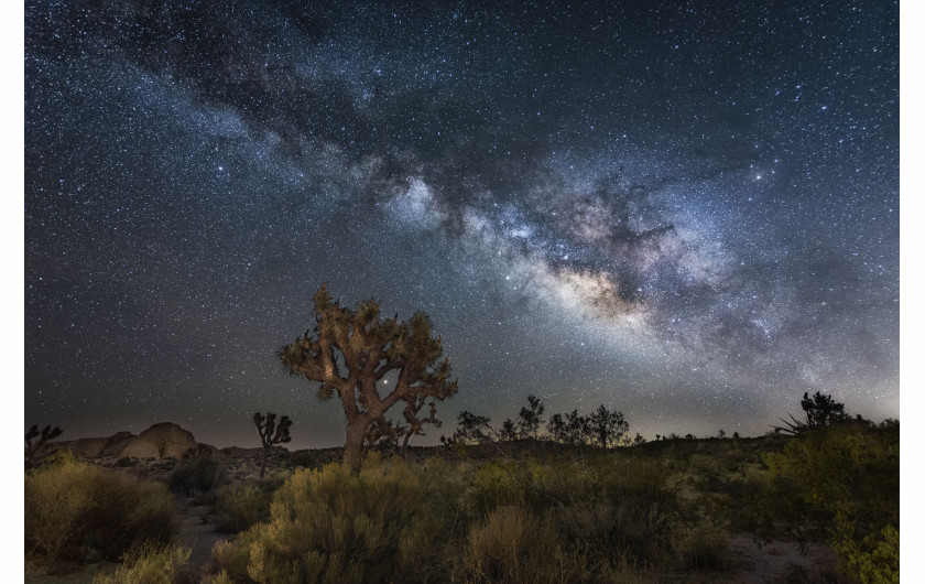 fot. Imma Barrera, USA, nominacja w profesjonalnej kategorii Landscape / Sony World Photography Awards 2019 