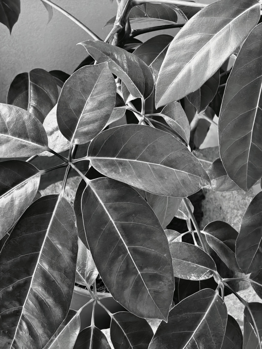 1/10 s, f/2.8, ISO 5000, Moduł tele