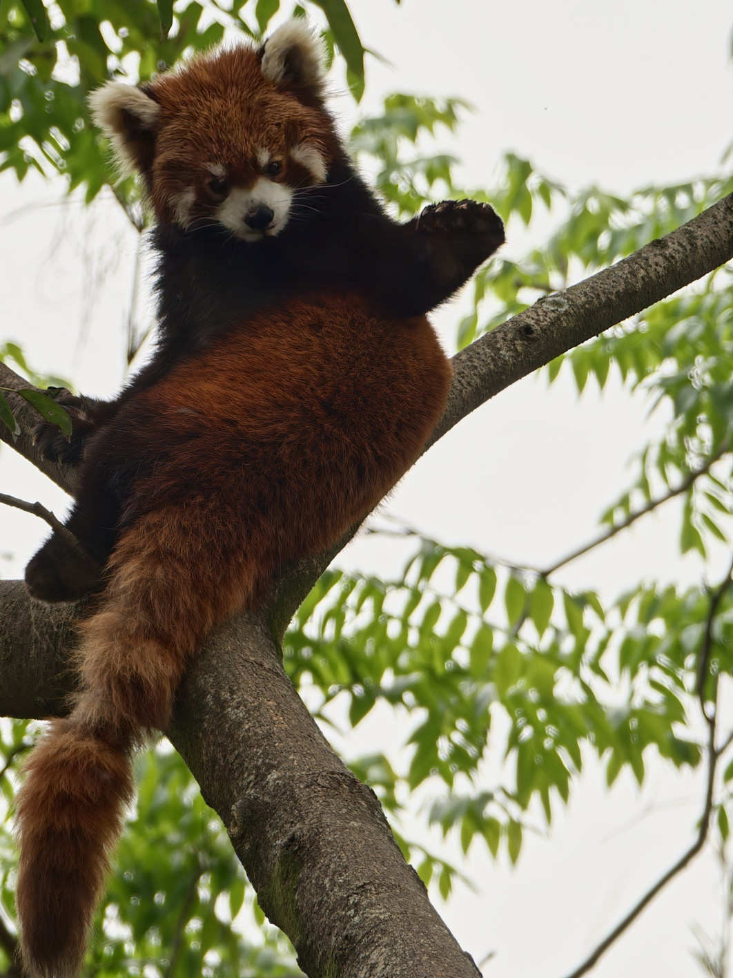 1/200 s, f/2.2, ISO 125, 20.1 mm