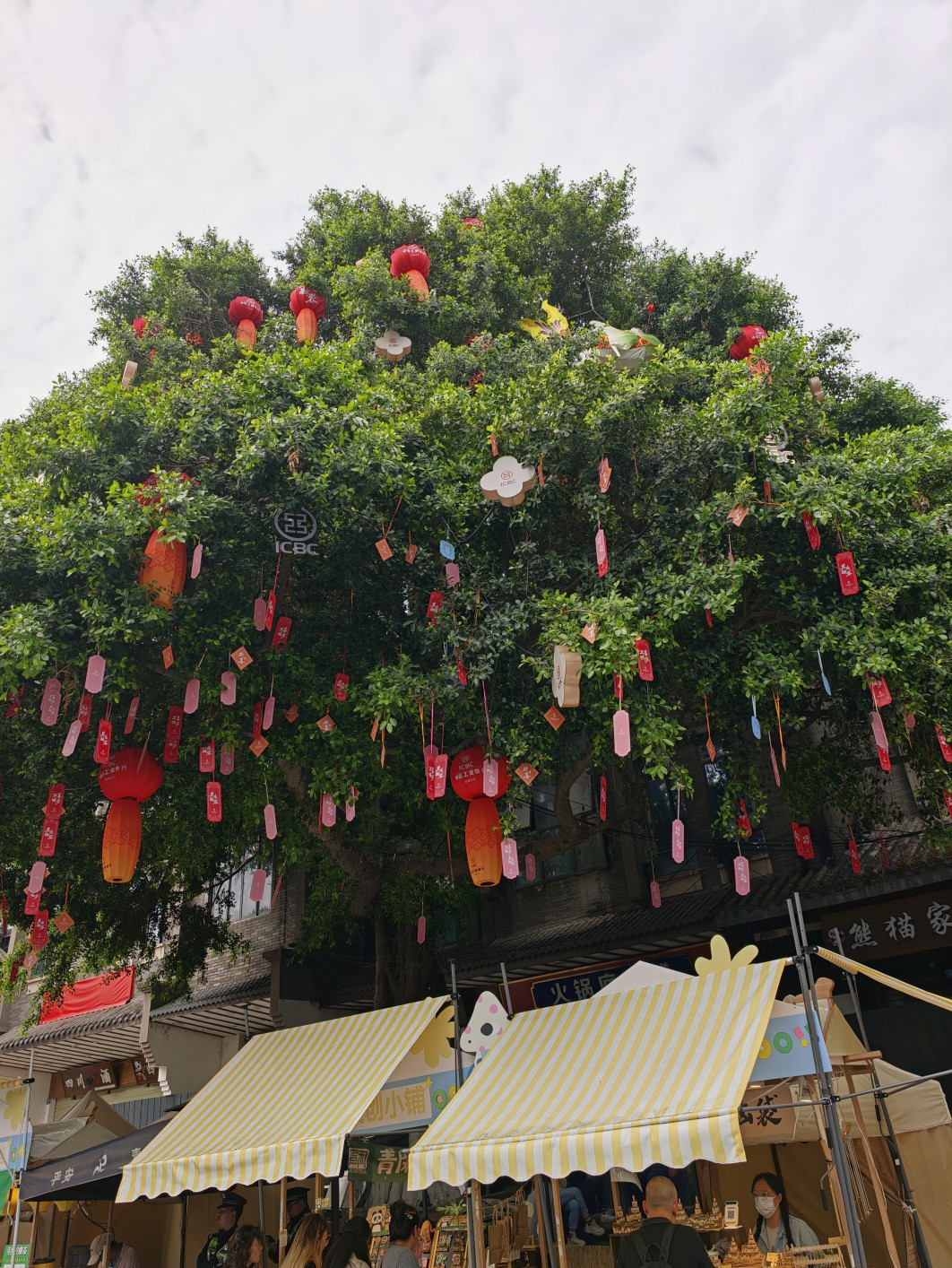 1/5991 s, f/1.5, ISO 500, 7.7 mm