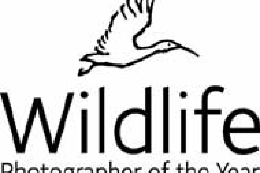 Wildlife Photographer of the Year 2004
